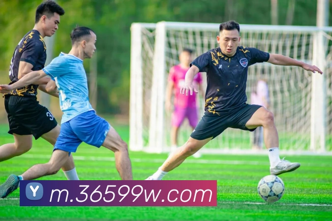 bet365APP 封面图